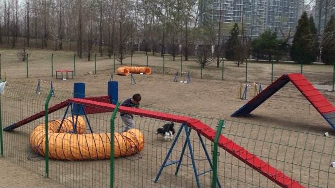 寵物狗樂(lè)園